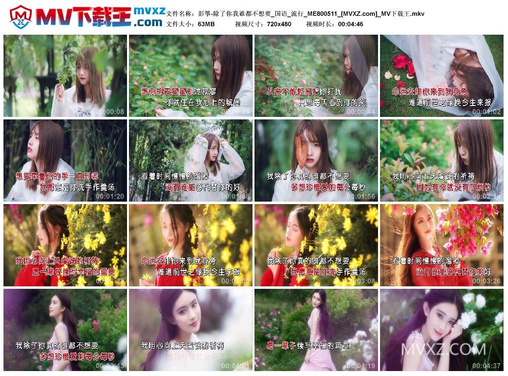 彭筝-除了你我谁都不想要_国语_流行_ME800511